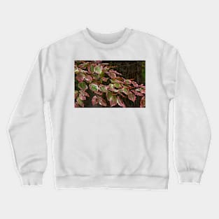 Liquid Dogwood Crewneck Sweatshirt